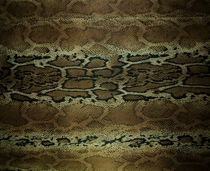 texture of fabric stripes snake leather for background photo