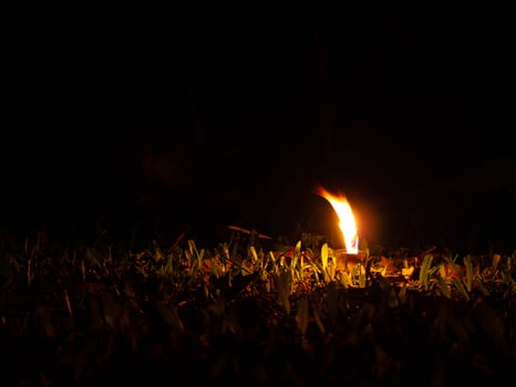 bulb and light photo