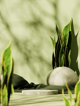 3d concrete display podium with stone and green plant against green background. 3d rendering of realistic presentation for product advertising. 3d minimal illustration. selective focus. photo