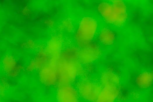 Blur green background photo