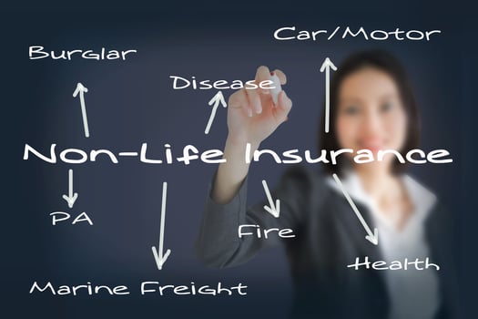 business woman writing insurance concept photo