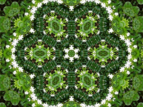 Abstract background in green color. Green leaves kaleidoscope. photo