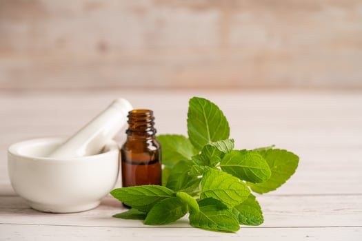 Alternative medicine herbal organic herbs mint leaf natural supplements for healthy good life. photo