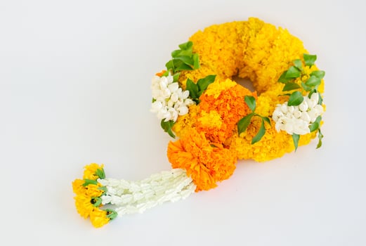 Marigold garland, flower garland white background photo