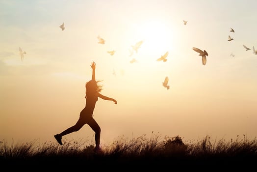 Woman and flying birds enjoying life in nature on sunset background photo