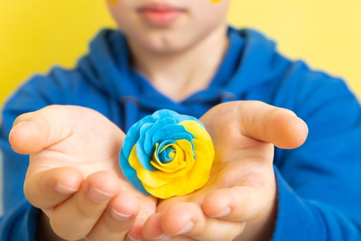 Rose of yellow and blue colors of the Ukrainian flag in the hands of a boy. photo