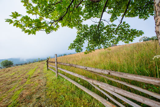 Blue Sky with a Beautiful Meadow photo