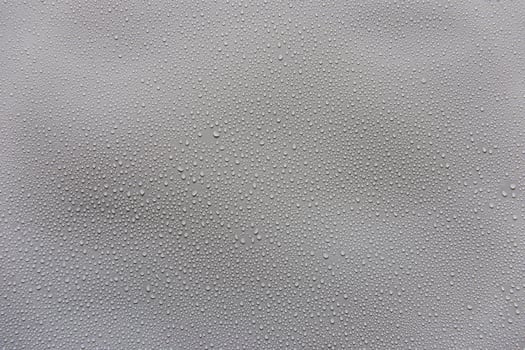 Water droplets on gray background covered with water droplets, bubbles in water. photo