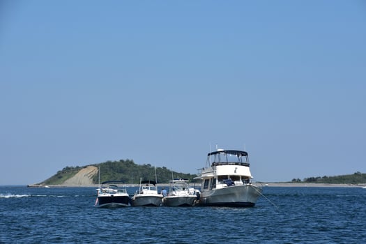 Four Boats Rafted Together in Boston Harbor photo