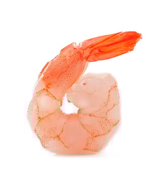 Shrimp isolated on white background photo
