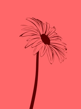 Illustration simple flower minimals modern photo
