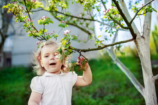child at the blossom trees photo