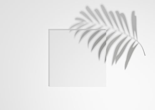 White, light gray, black and white, 3D render minimal, simple top view flat lay product display background with one podium stand and palm leaf shadow for nature products photo