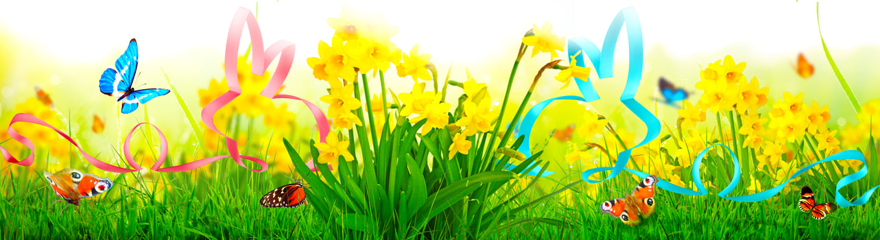 Funny Easter bunny. Happy Easter holiday concept. photo
