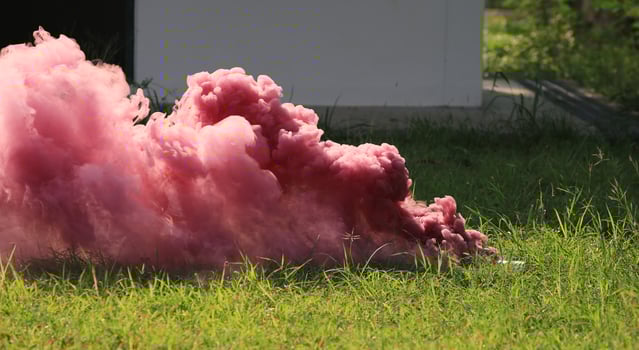 A pink smoke cloud in the grass photo