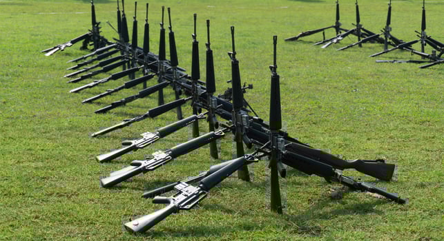 A row of guns on a grassy field photo
