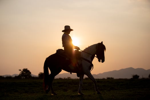 Cowboy on horseback against a beautiful sunset, cowboy and horse at first light, mountain, river and lifestyle with natural light background photo