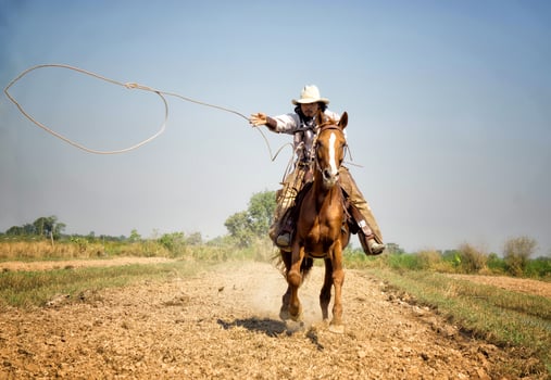 Cowboy on horseback against a beautiful sunset, cowboy and horse at first light, mountain, river and lifestyle with natural light background photo