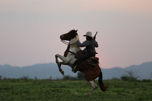 Silhouette Cowboy on horseback against a beautiful sunset, cowboy and horse at first light, mountain, river and lifestyle with natural light background photo