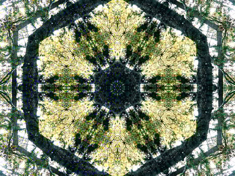 Dark green abstract rectangular background. Dense forest kaleidoscope pattern. Free background. photo