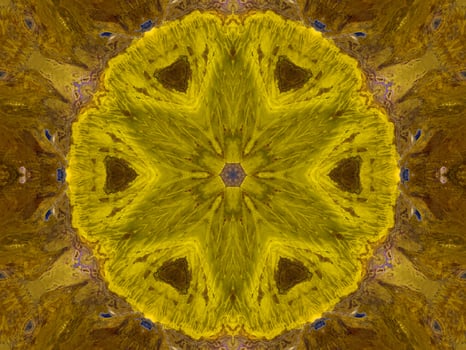 Reflection of colorful flowers in kaleidoscope pattern. Yellow and blue abstract background. Free photo. photo