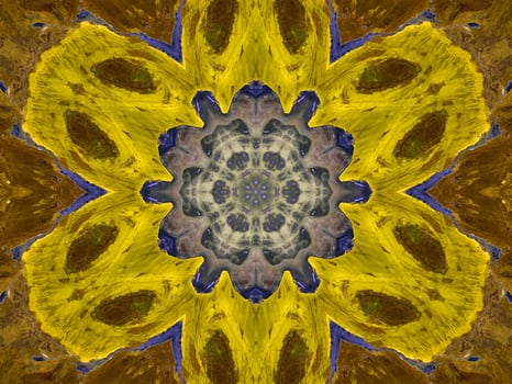 Reflection of colorful flowers in kaleidoscope pattern. Yellow and blue abstract background. Free photo. photo