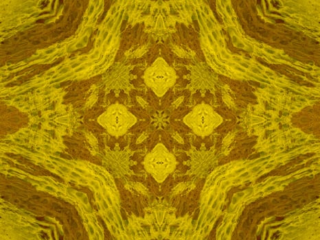 Reflection of colorful flowers in kaleidoscope pattern. Yellow and blue abstract background. Free photo. photo