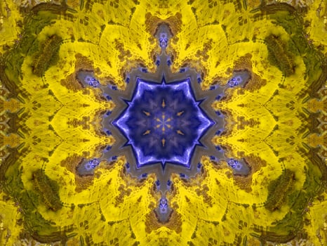 Reflection of colorful flowers in kaleidoscope pattern. Yellow and blue abstract background. Free photo. photo