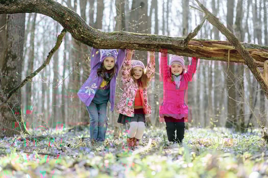 Little girls in the forest photo