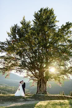 Beautiful bride and groom at the mountains photo