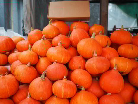Pile of pumpkins Japan for sale in the market photo