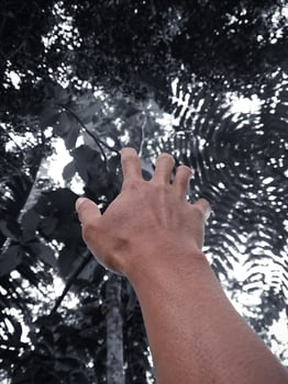 hands trying to reach up photo