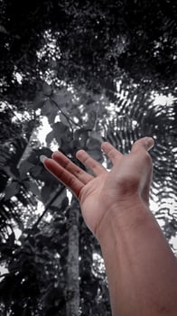 hands trying to reach up photo