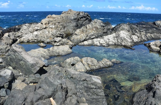 Remote Natural Pool Along the Coast of Aruba photo