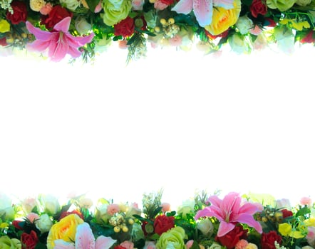 white background flowers photo
