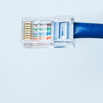 Closeup of Ethernet cable photo