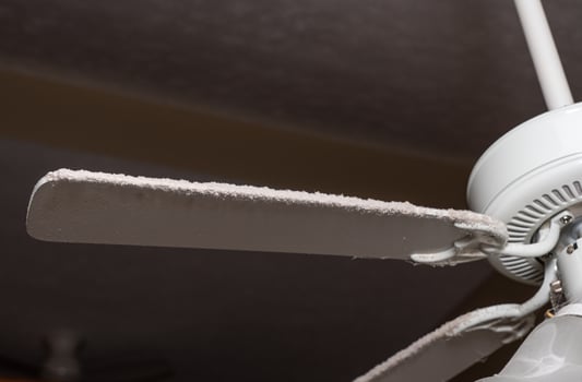 Dust collected along the front edge of the fan blade on ceiling photo