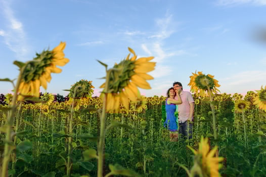 Adult farmer and wife spend time in the field. The man is sitting. A woman stands next to him and hugs him. A woman kisses her husband on the head. photo