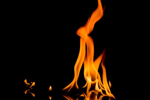 Nature Fire flames on black background. Freeze motion of Red-Yellow fire flames burning at dark night. photo