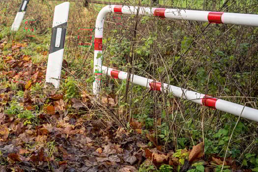 White and red fence in the forest captured in autumn photo