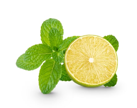 Fresh lime sliced with mint leaf isolated on white background photo
