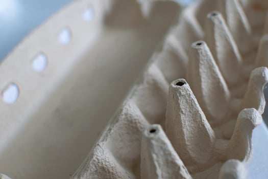 Eggs container paper board support photo