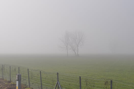 Fog in field at dawn photo