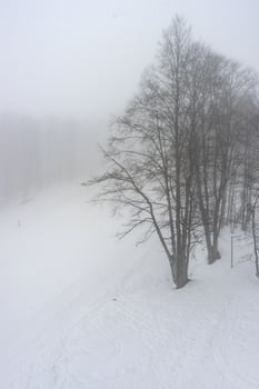Covered with snow Caucasus mountain photo