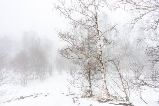 Covered with snow Caucasus mountain photo