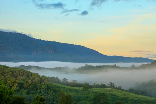 Fog flow through Khao yai National Park mountain valley in the morning light during rainy season, Thailand photo
