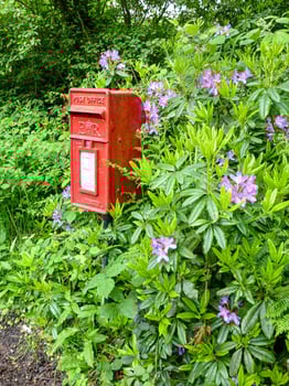 red letter box in the landscape photo