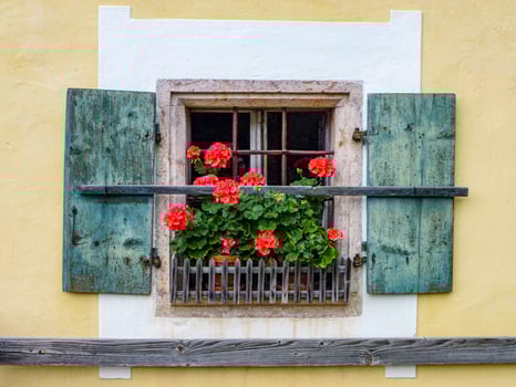 Closeup shot of an old wooden window with flowers on the sill photo