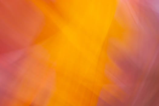 Orange pink abstract background banner with curved waves. photo