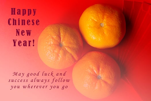 Concept image of the chinese new year with text photo